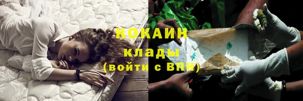 эйфоретик Баксан