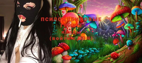эйфоретик Баксан