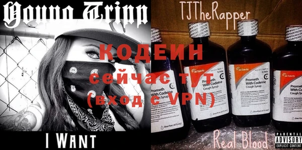 эйфоретик Баксан