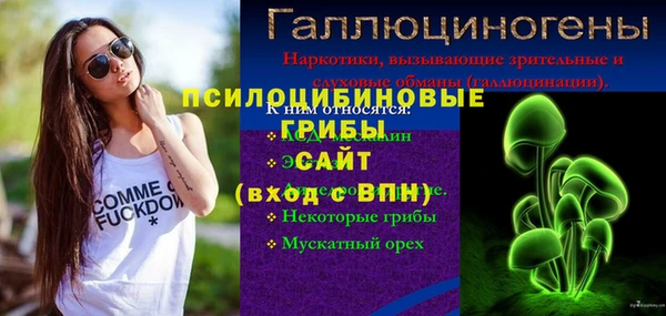гашик Балабаново